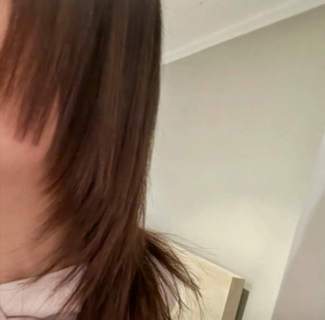 Before: a client’s uneven, choppy hair after a salon cut elsewhere